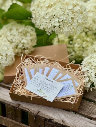 Dárková kolekce babiččiných květin 🌸🌺🌼 Dárková kolekce semínek představuje skvělý dárek pro každého, kdo si chce na...