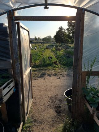 🌞 Srpen na zahradě: Neztrácíme čas, ale sázíme dál! 🌱 Srpen sice bývá parný a suchý, ale to neznamená, že už je na všechno...